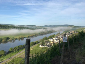 Гостиница Wein- und Gästehaus Genetsch  Лизер